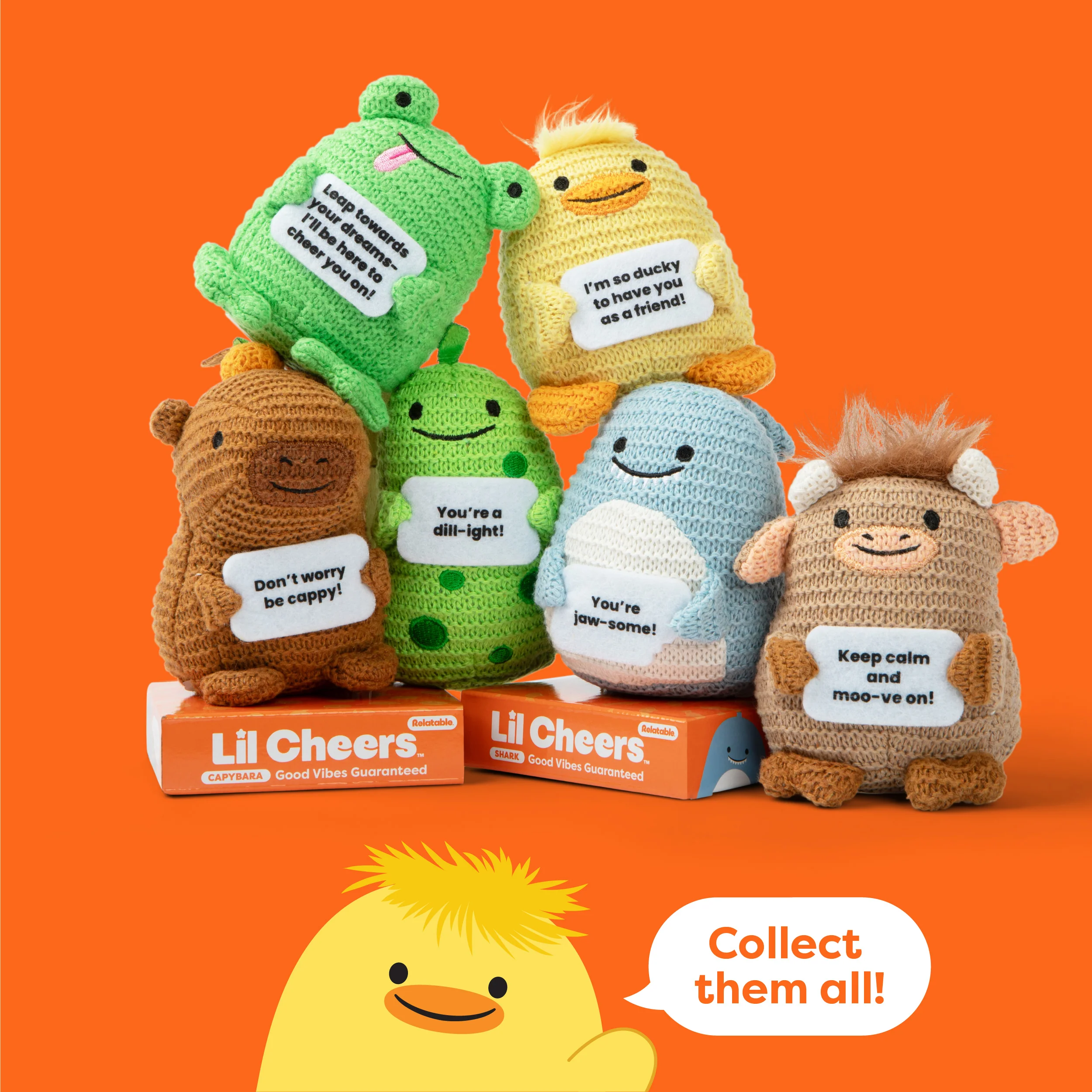 Lil Cheers Bundle