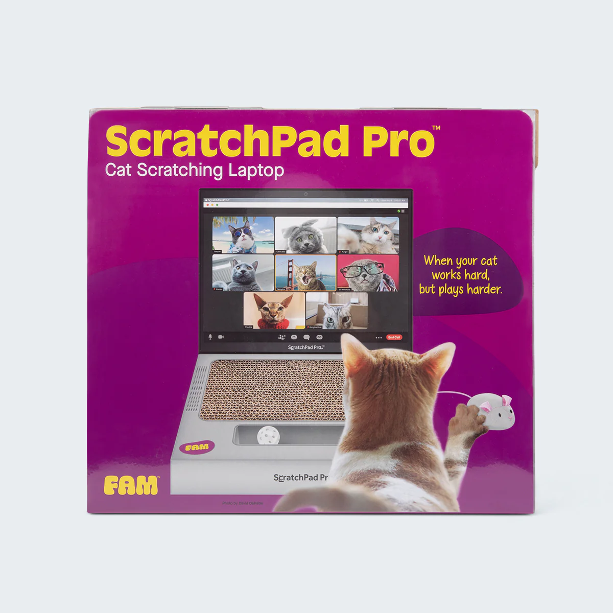ScratchPad Pro — Cardboard Laptop Cat Scratcher 5 ScratchPad Pro — Cardboard Laptop Cat Scratcher