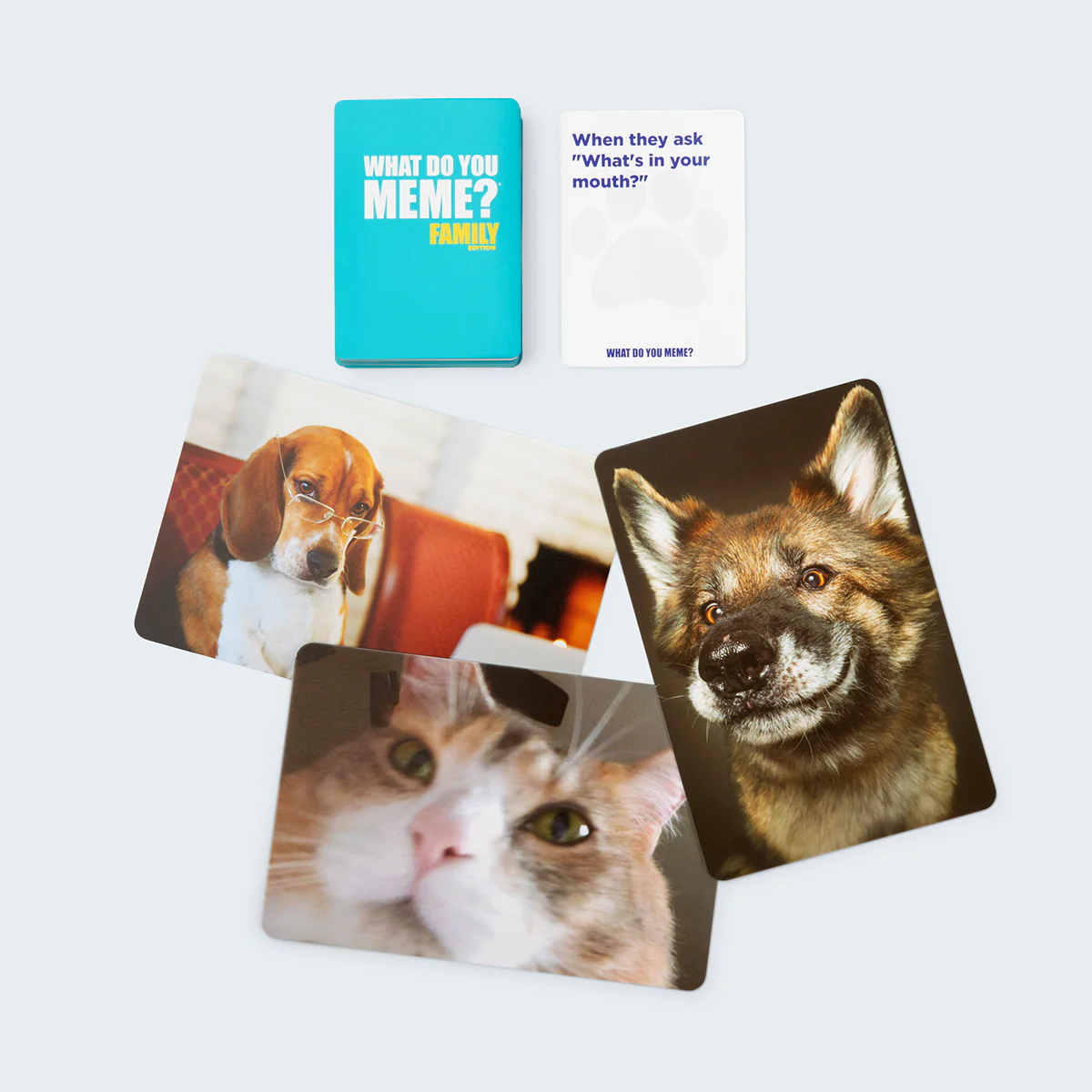 What Do You Meme? Family Pets Only Edition – A Hilarious Meme Game for Kids and Families 5 What Do You Meme? Family Pets Only Edition – A Hilarious Meme Game for Kids and Families