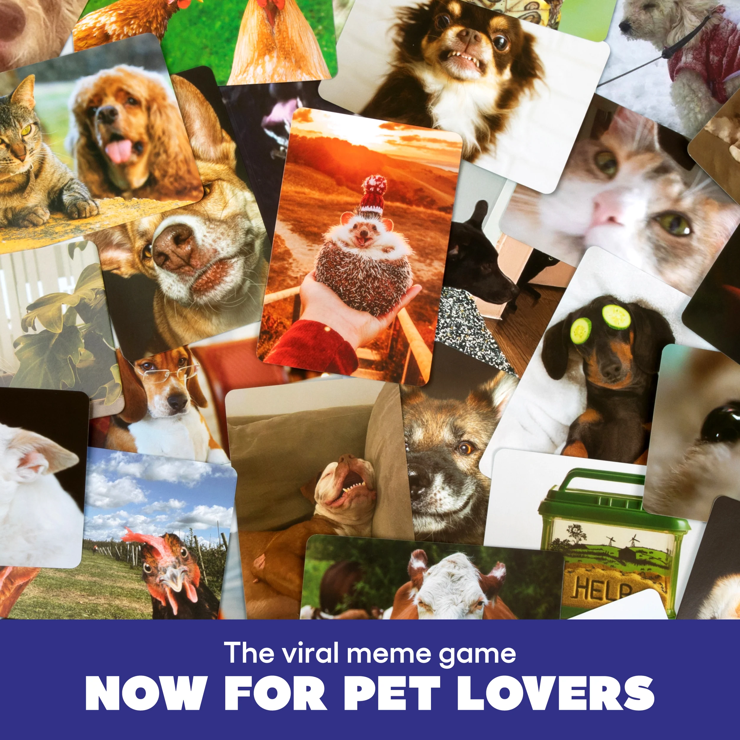 What Do You Meme? Family Pets Only Edition – A Hilarious Meme Game for Kids and Families 3 What Do You Meme? Family Pets Only Edition – A Hilarious Meme Game for Kids and Families