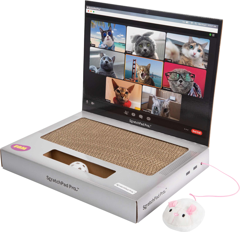 Scratchpad Web
